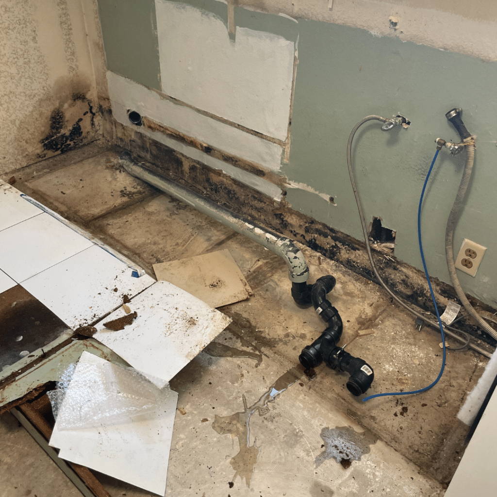 mold remediation in Southlake